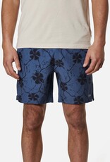 Katin Katin, Fusion Shorts, fusionblue, M