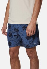 Katin Katin, Fusion Shorts, fusionblue, M