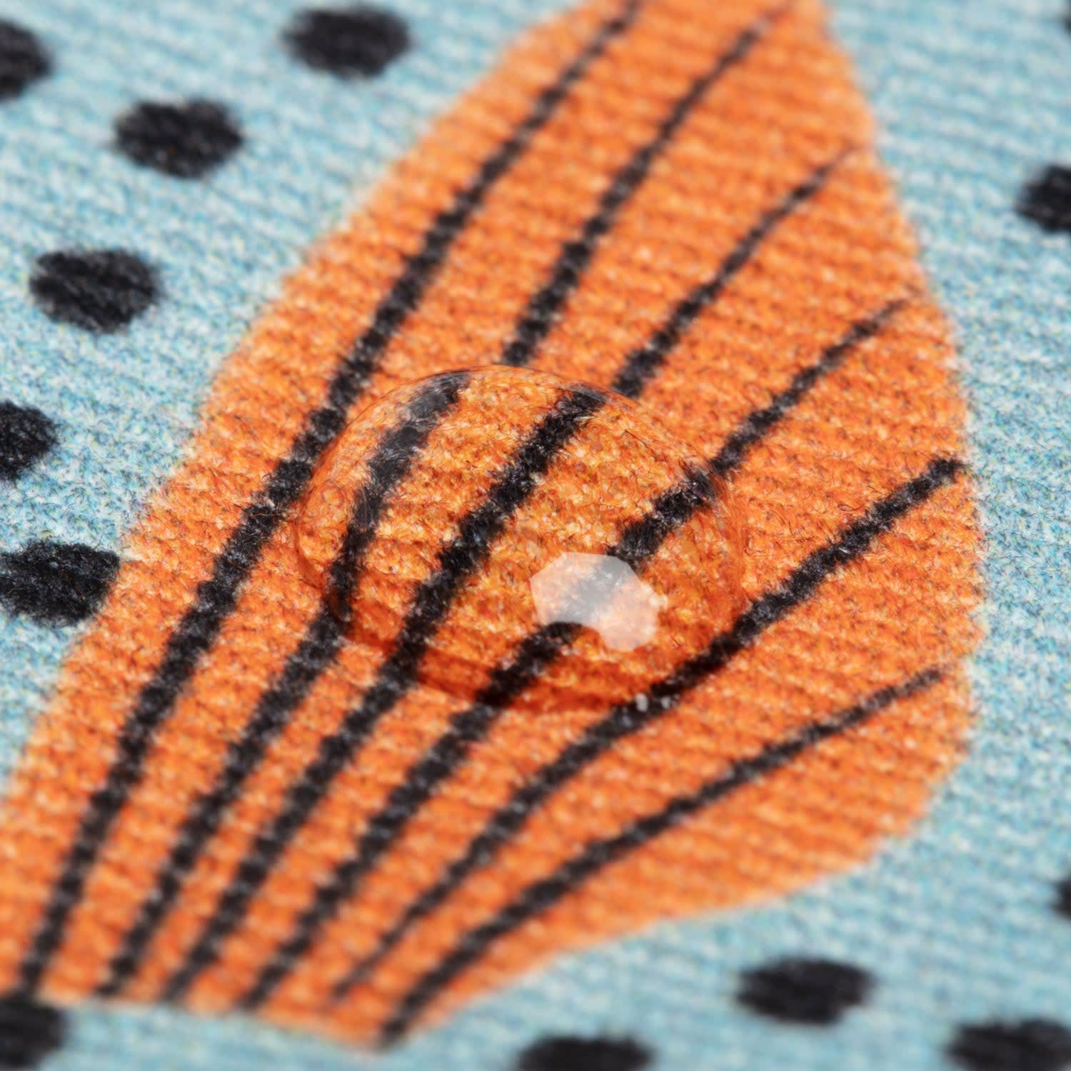 Don Fisher Don Fisher, Sweeper Fish Keychain, aqua