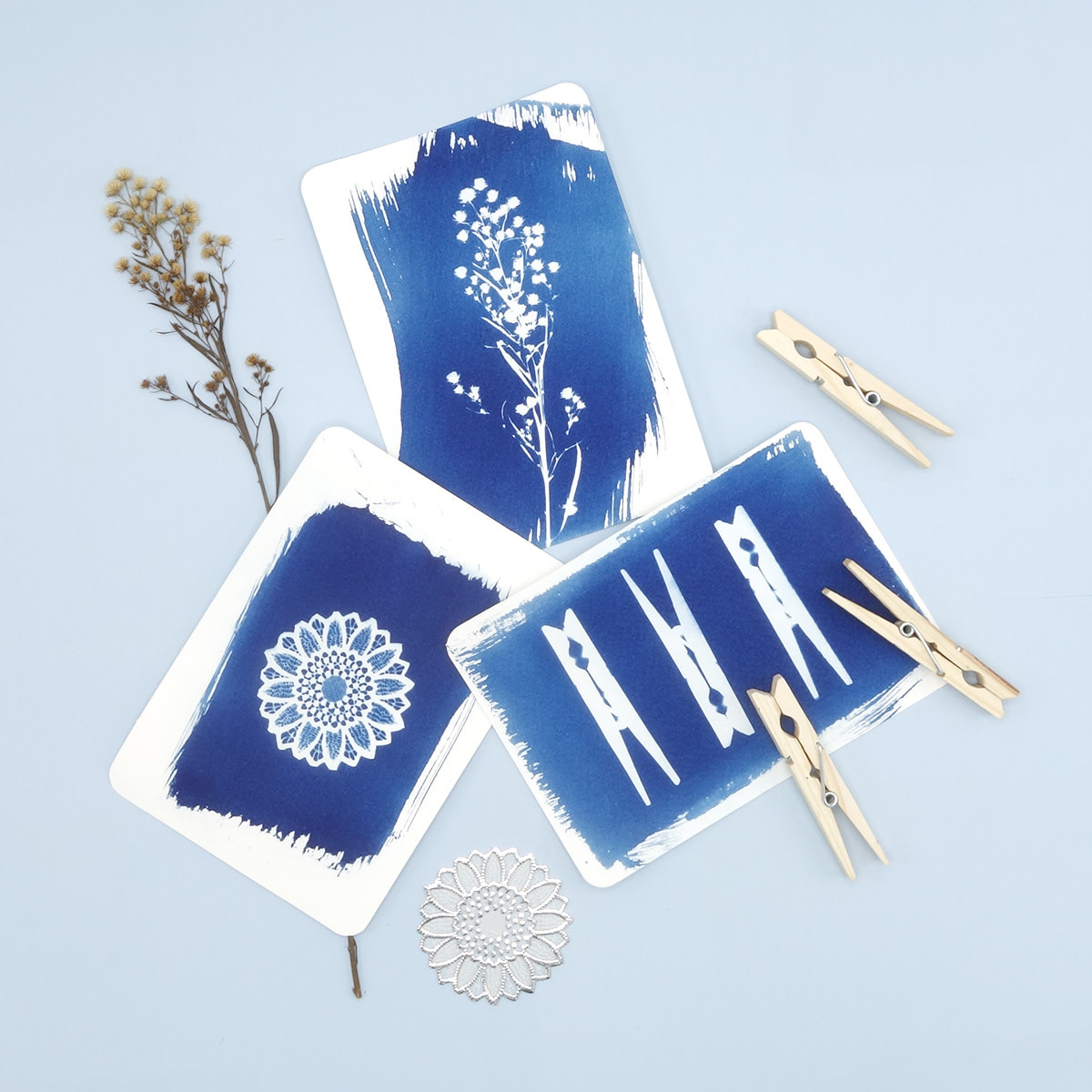 PAR PAR, Cyanotypie-Kit, Postkarte