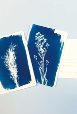 PAR PAR, Cyanotypie-Kit, Postkarte