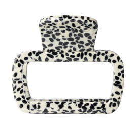 Sasstie Sasstie, Bondie, dott