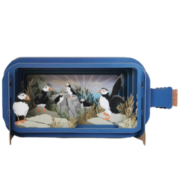 Alljoy Alljoy, Message in a Bottle, puffin