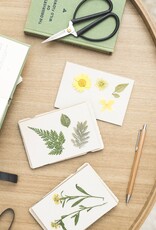 Studio Wald Studio Wald, Pocket Flower Press, teasel