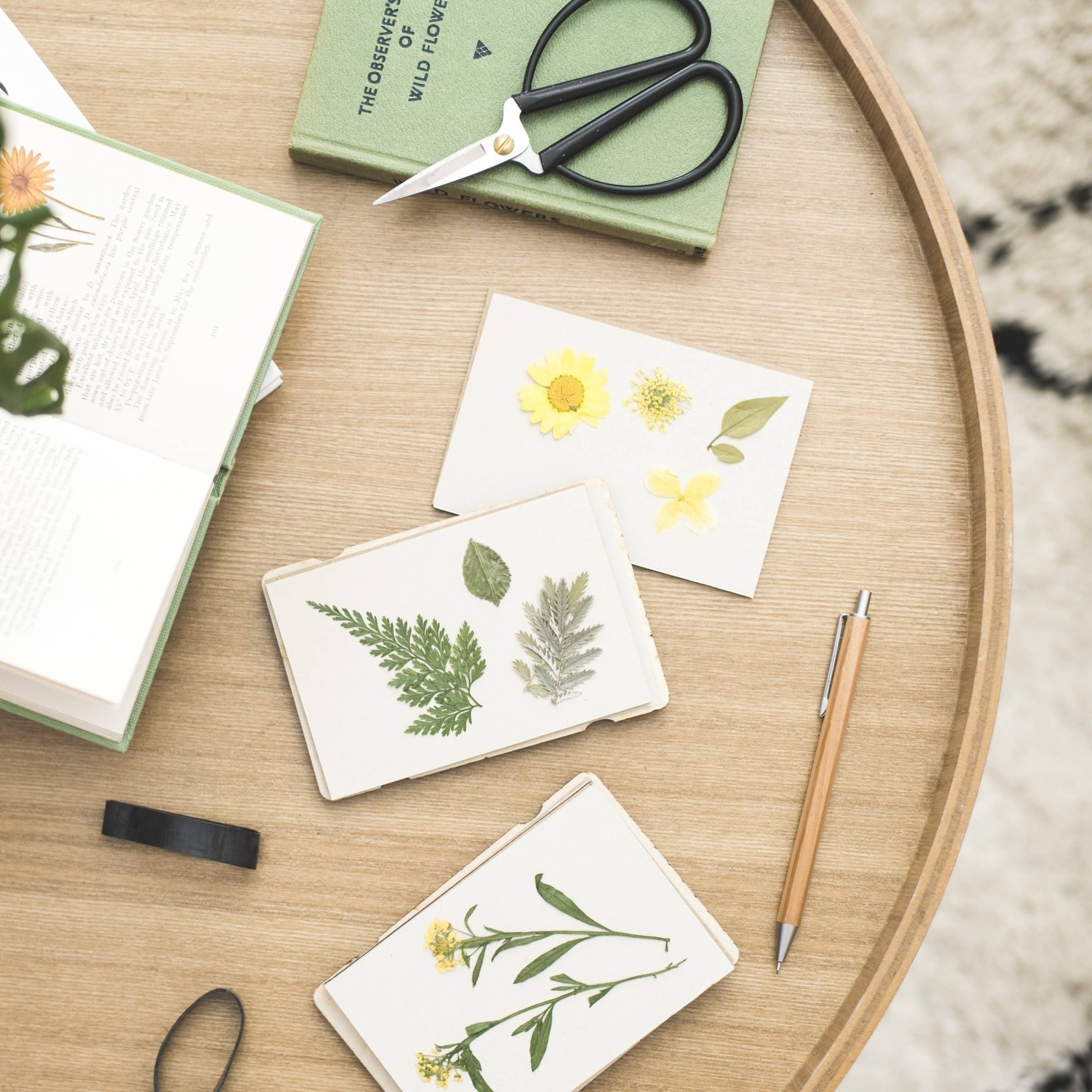 Studio Wald Studio Wald, Pocket Flower Press, teasel