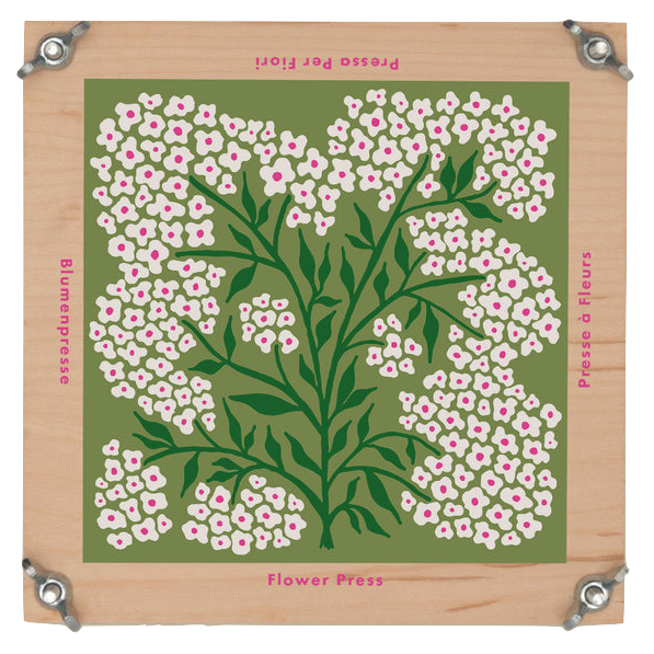 Studio Wald Studio Wald, Flower Press, forget me not