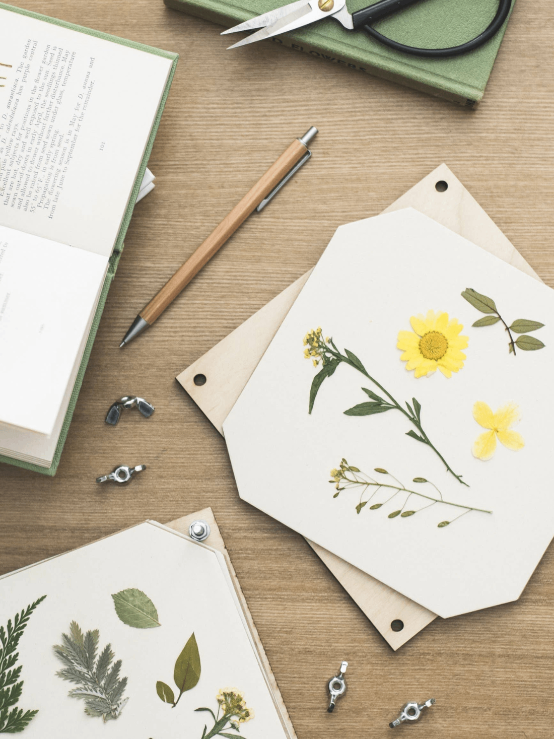 Studio Wald Studio Wald, Flower Press, forget me not