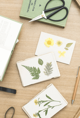 Studio Wald Studio Wald, Pocket Flower Press, dandelion