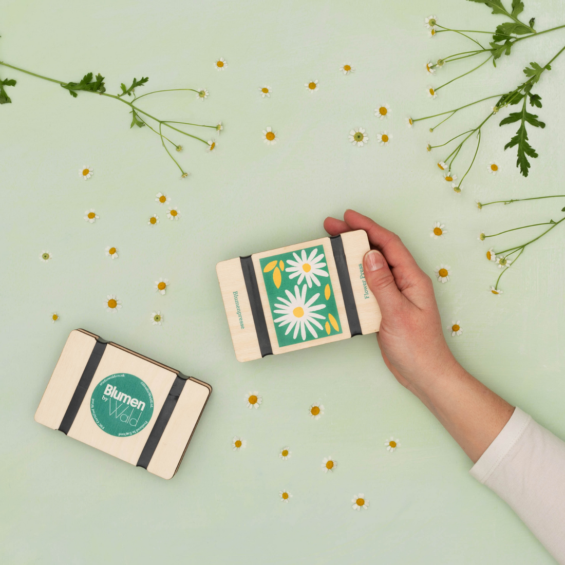 Studio Wald Studio Wald, Pocket Flower Press, daisy