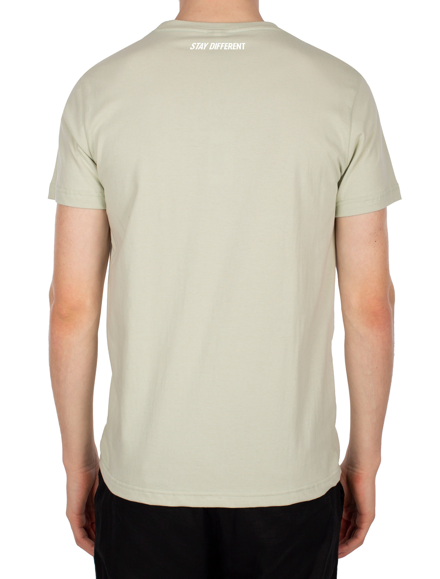 Iriedaily Iriedaily, Bye Bye Tee, light sage, L