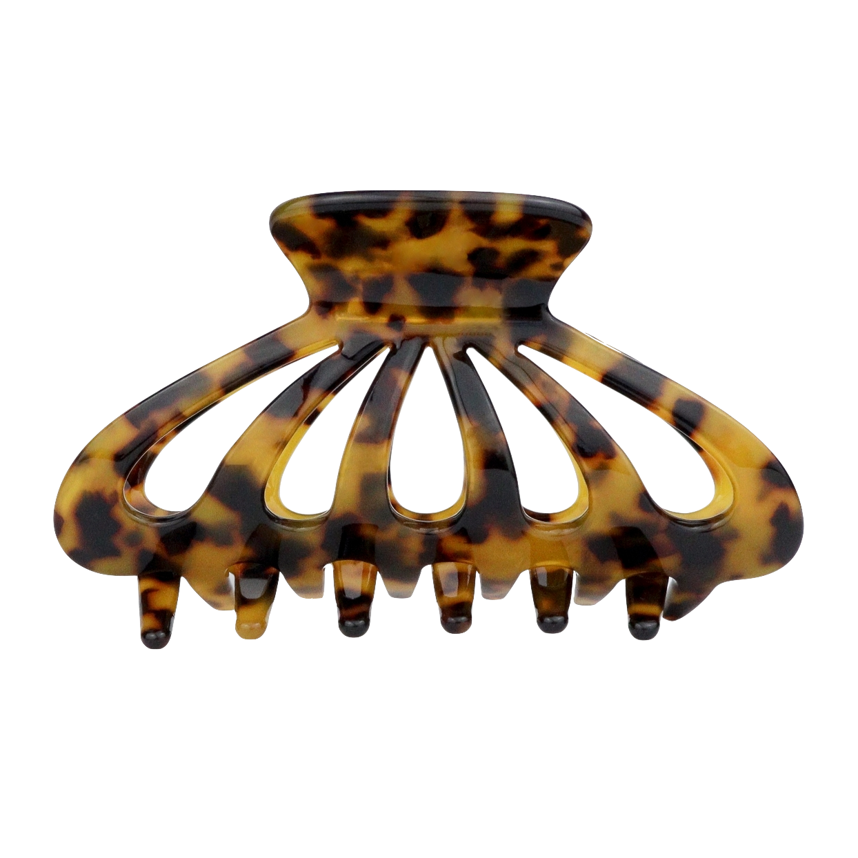 Sasstie Sasstie, Princess, dark cheetah