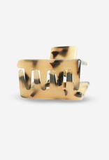 Sasstie Sasstie, Lib, cheetah