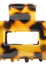 Sasstie Sasstie, Lib, dark cheetah