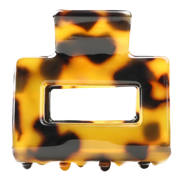 Sasstie Sasstie, Lib, dark cheetah