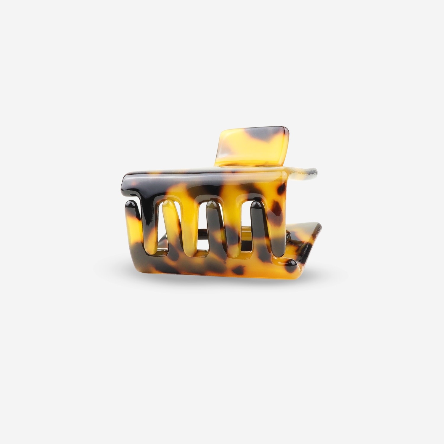 Sasstie Sasstie, Lib, dark cheetah