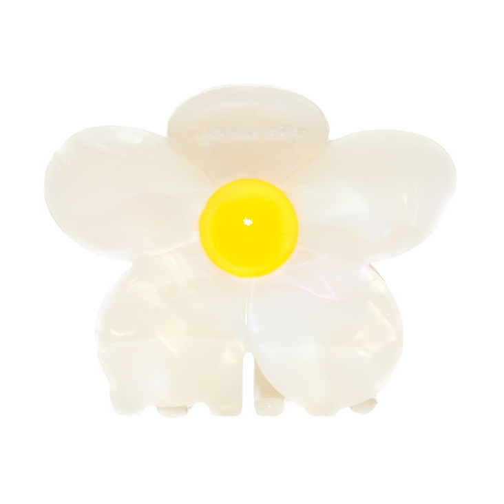 Sasstie Sasstie, Flora, soleil