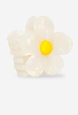 Sasstie Sasstie, Flora, soleil