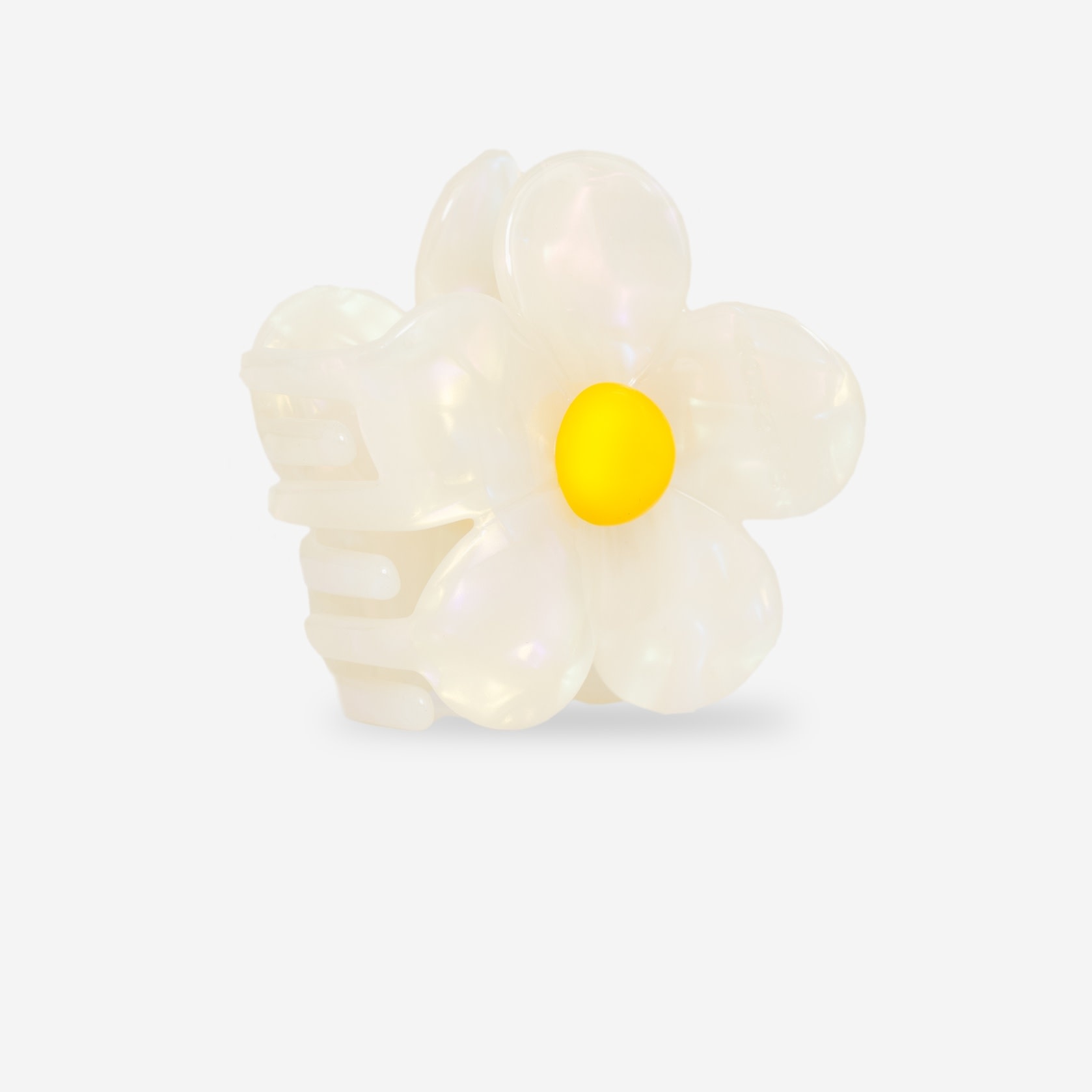 Sasstie Sasstie, Flora, soleil