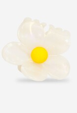 Sasstie Sasstie, Flora, soleil