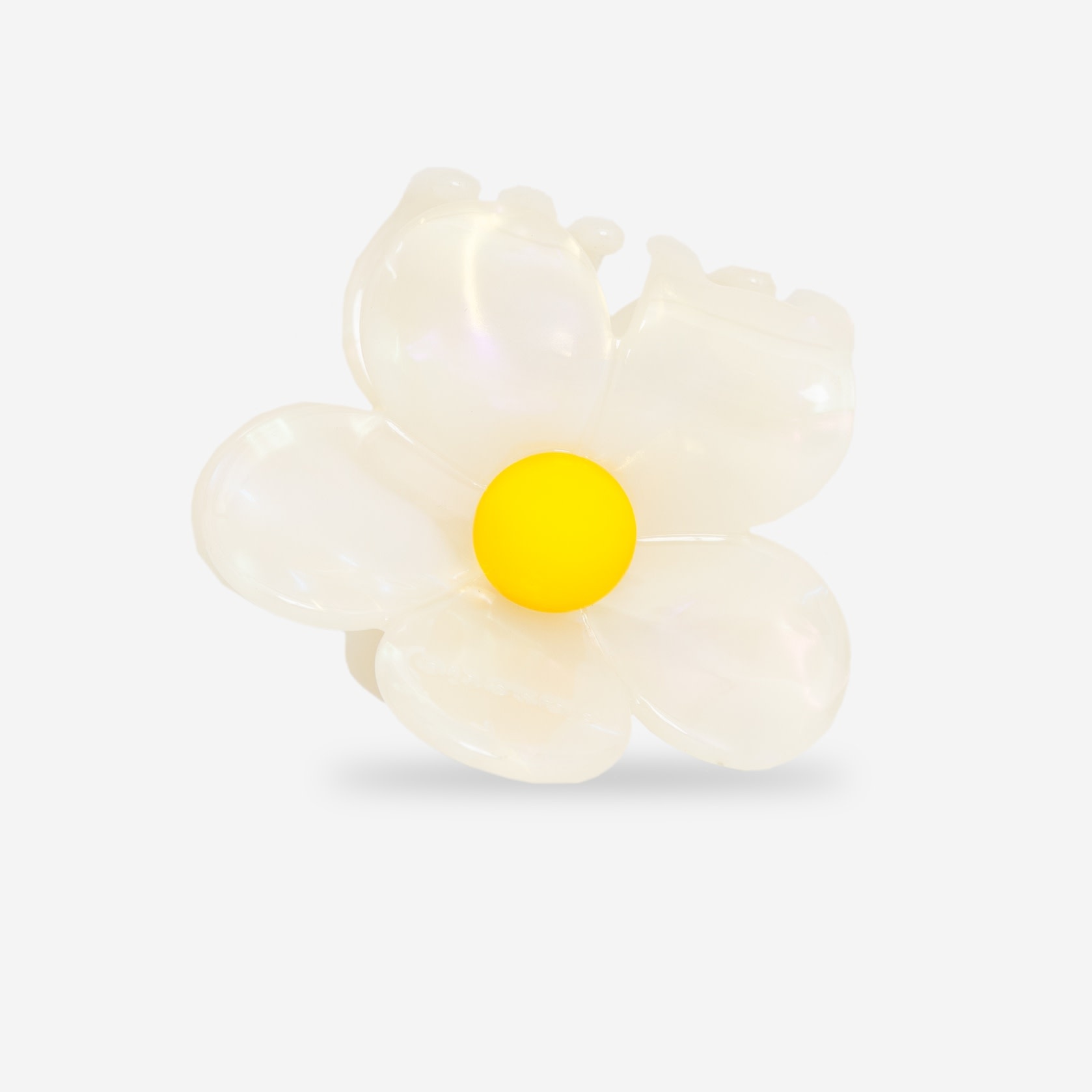 Sasstie Sasstie, Flora, soleil