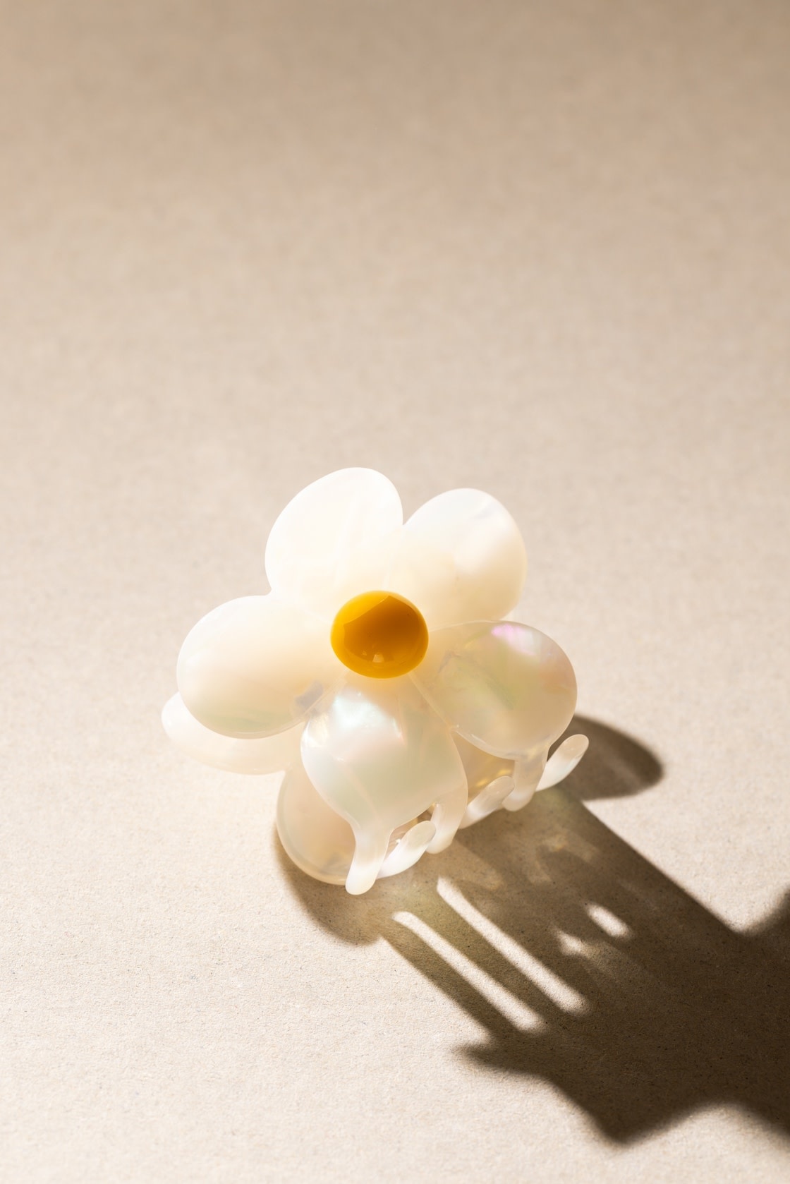 Sasstie Sasstie, Flora, soleil