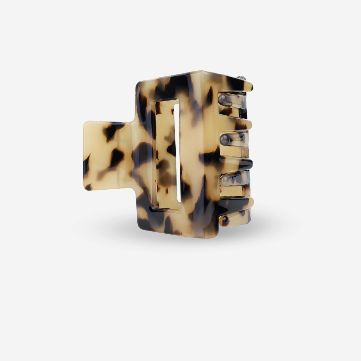 Sasstie Sasstie, Liberty, cheetah