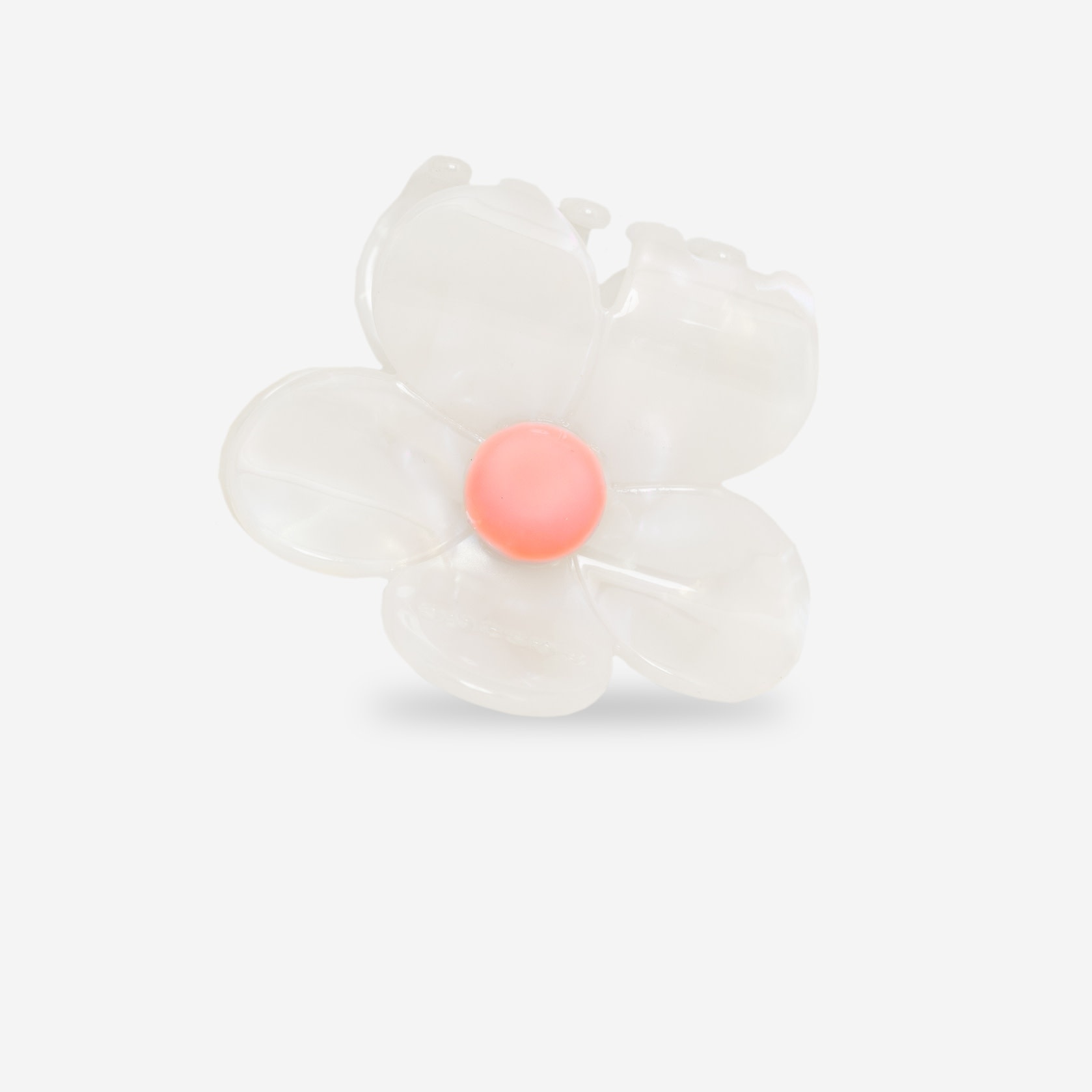 Sasstie Sasstie, Flora, rosa