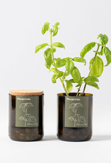 Life In A Bag, Bottle Garden, Basilikum