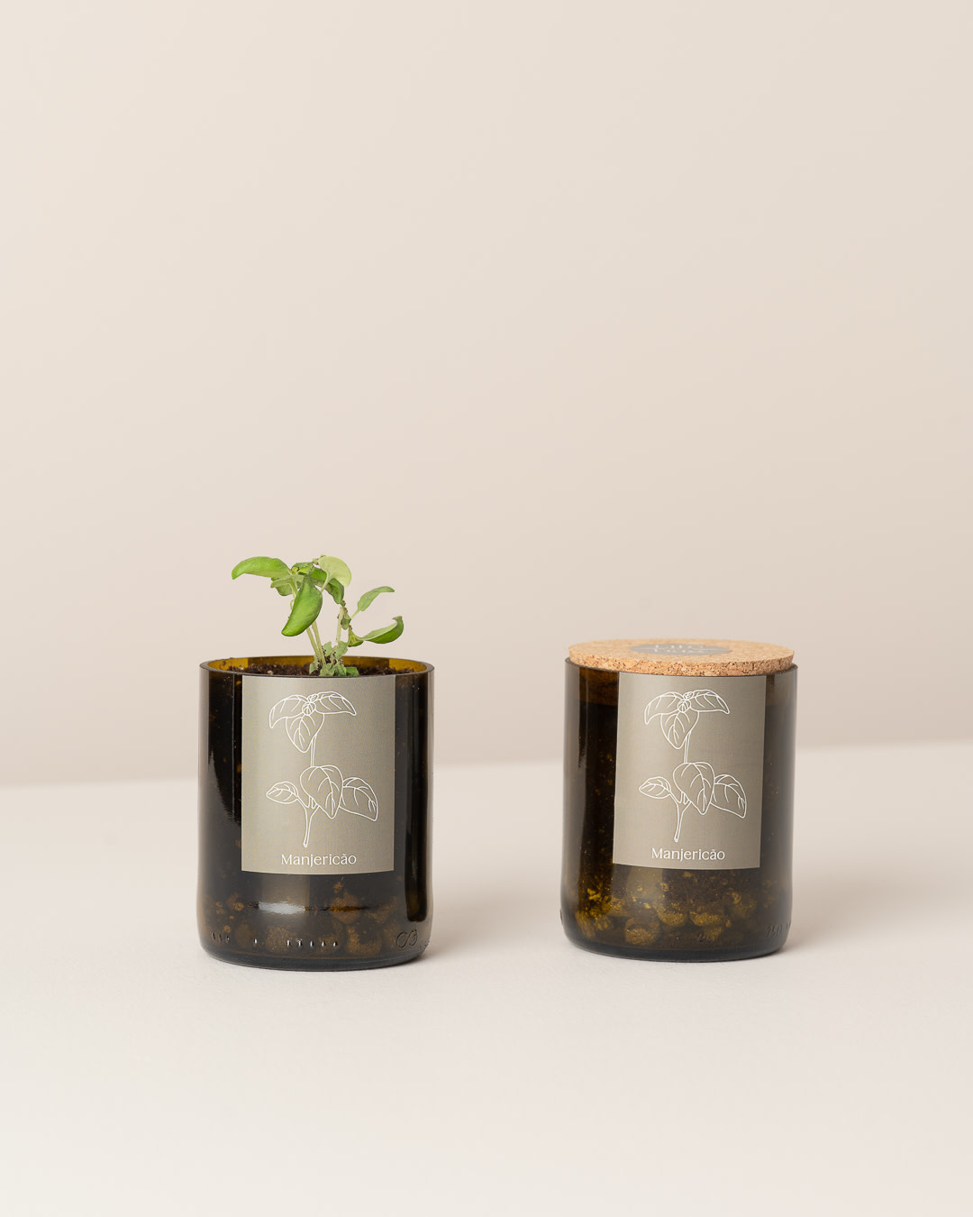 Life in a bag Life In A Bag, Bottle Garden, Basilikum