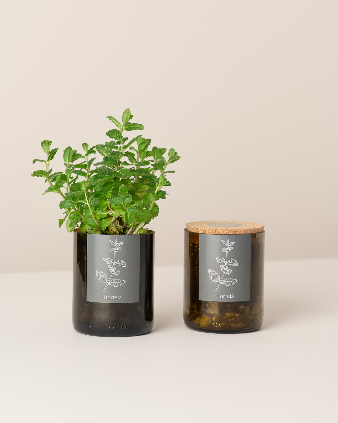 Life In A Bag, Bottle Garden, Minze