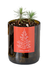 Life In A Bag, Bottle Garden, Merry Christmas