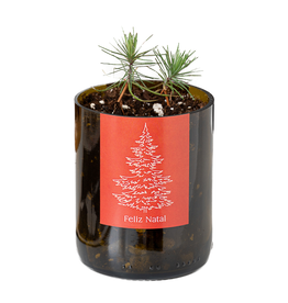 Life In A Bag, Bottle Garden, Merry Christmas