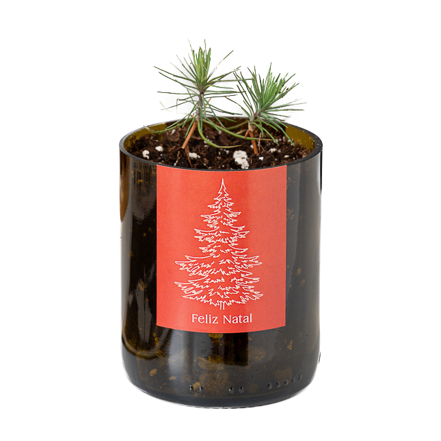 Life In A Bag, Bottle Garden, Merry Christmas