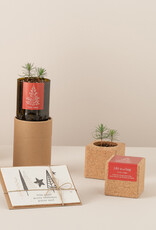 Life In A Bag, Bottle Garden, Merry Christmas