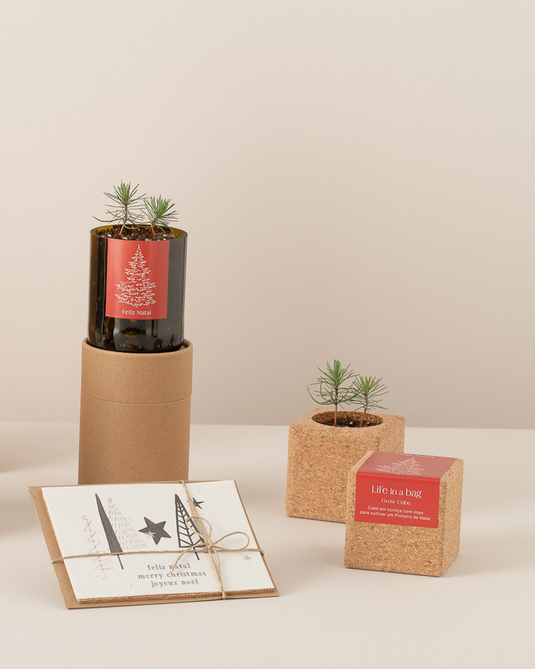 Life In A Bag, Bottle Garden, Merry Christmas