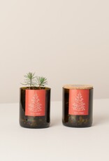 Life In A Bag, Bottle Garden, Merry Christmas