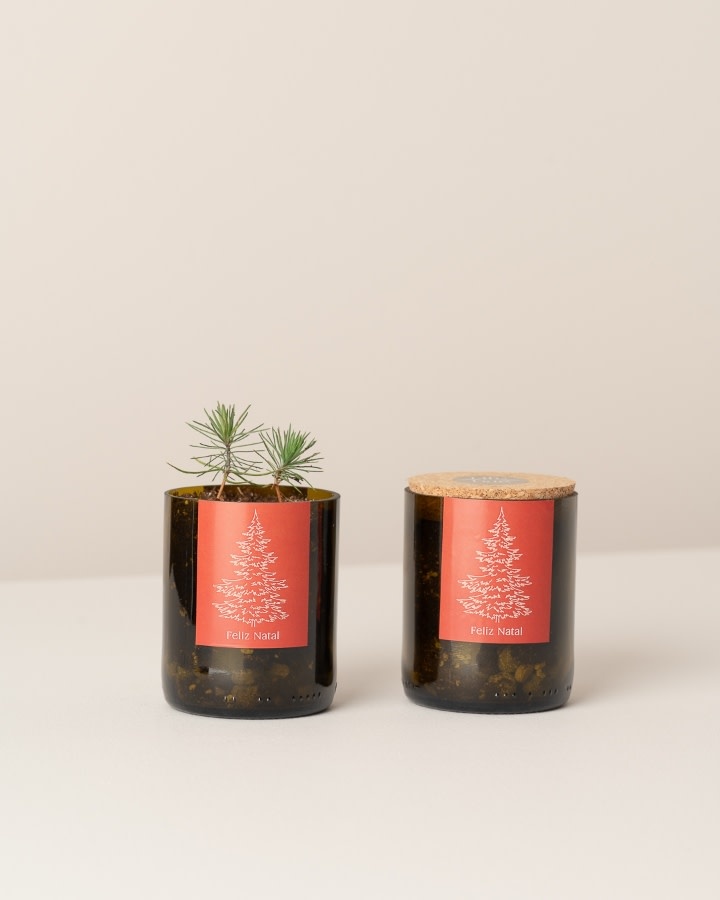 Life In A Bag, Bottle Garden, Merry Christmas