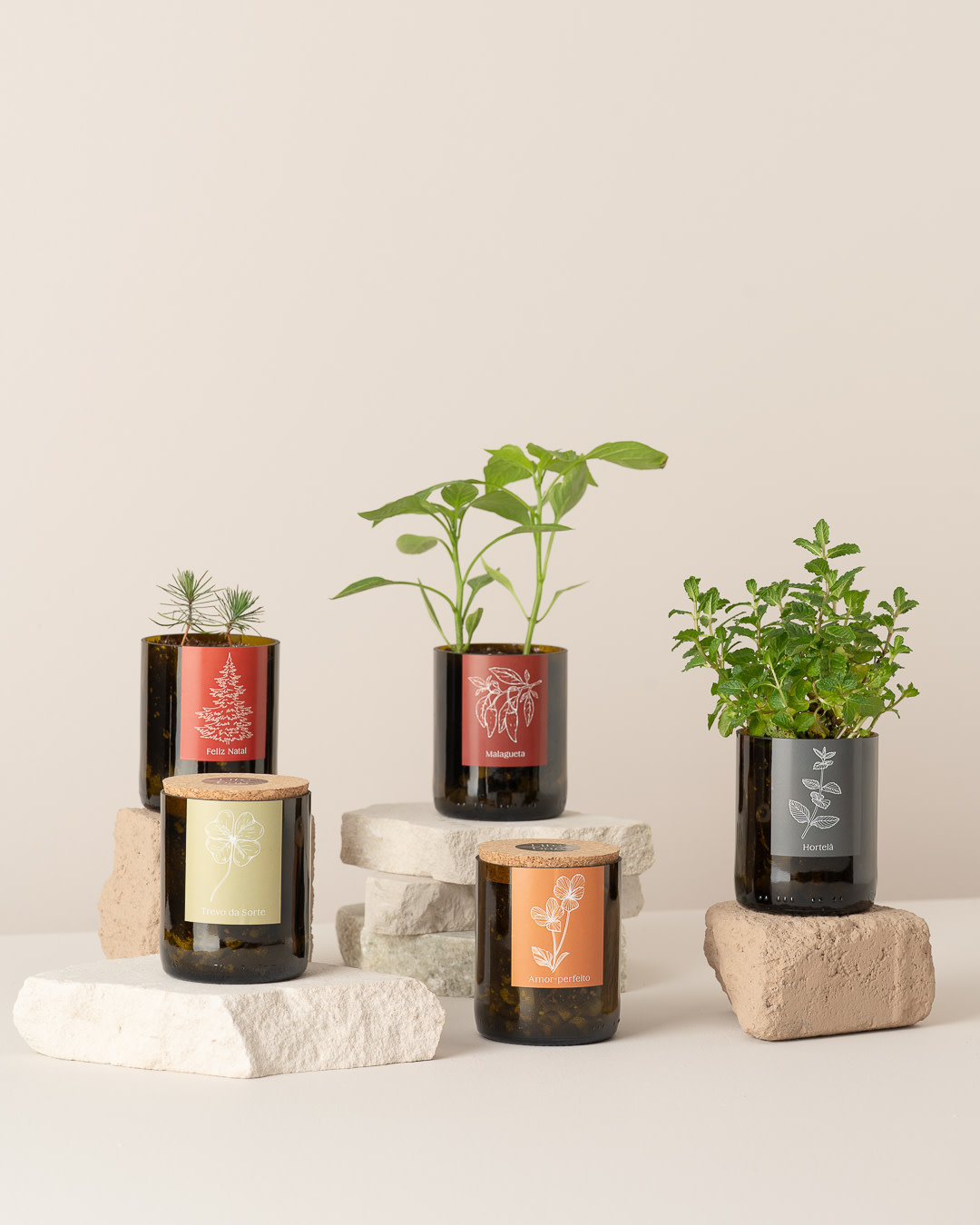 Life In A Bag, Bottle Garden, Merry Christmas