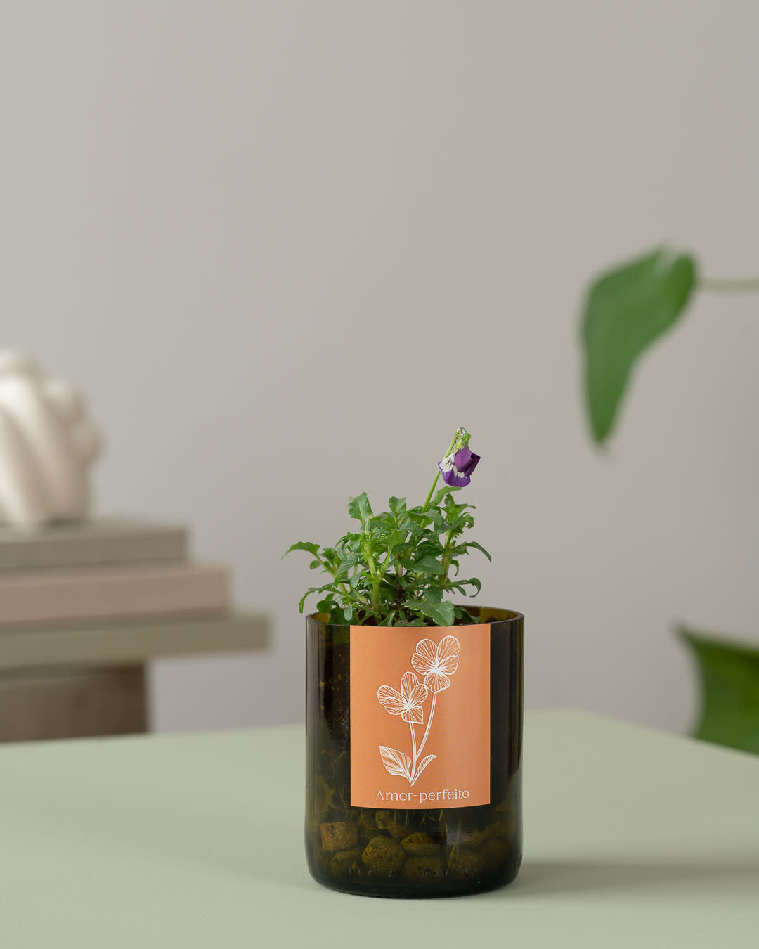 Life In A Bag, Bottle Garden, Stiefmütterchen