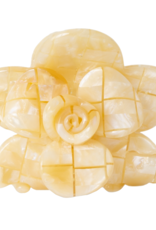 Sasstie Sasstie, Saku, coco