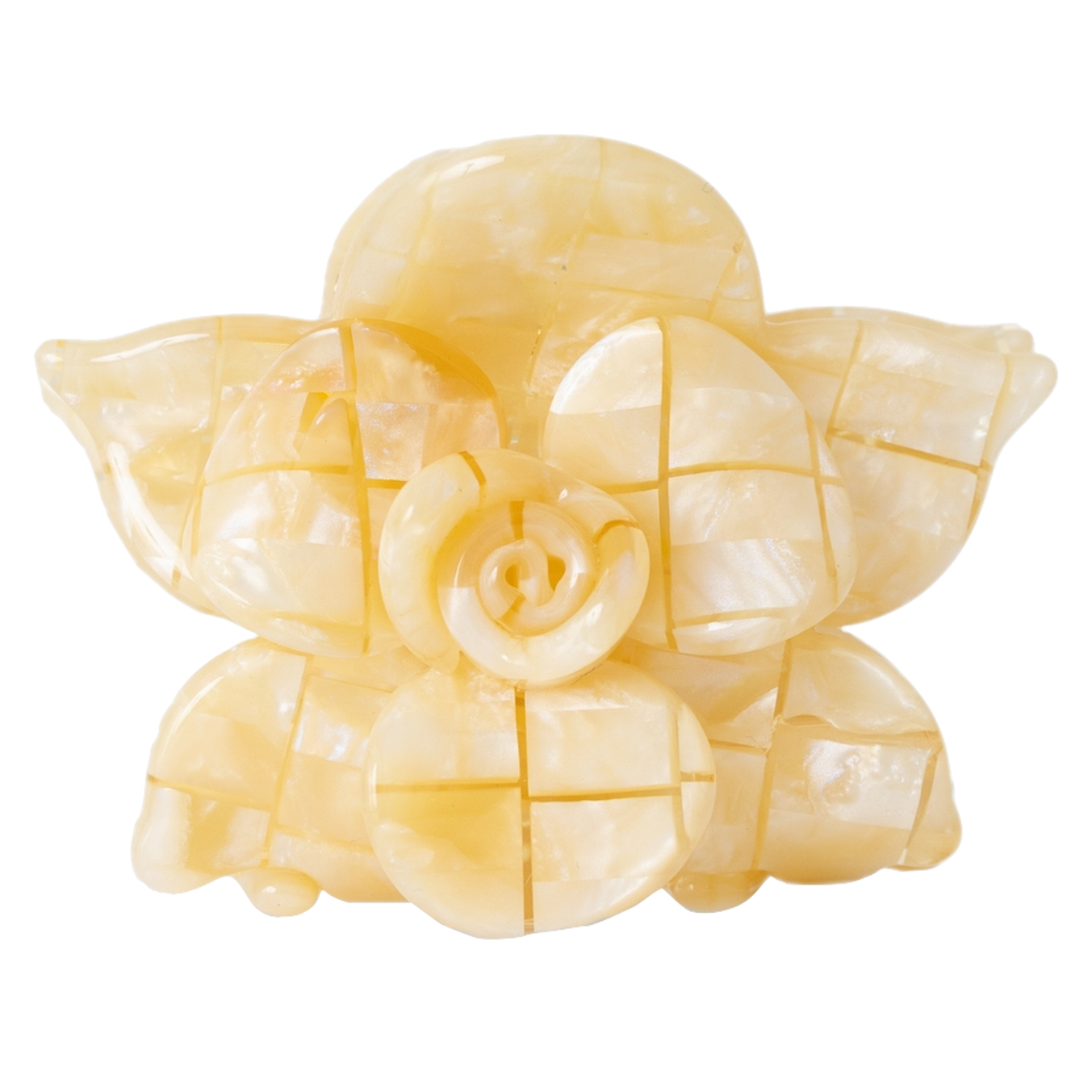 Sasstie Sasstie, Saku, coco