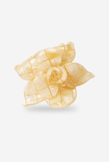 Sasstie Sasstie, Saku, coco