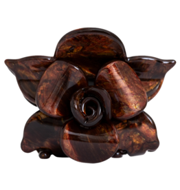 Sasstie Sasstie, Saku, espresso