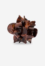 Sasstie Sasstie, Saku, espresso