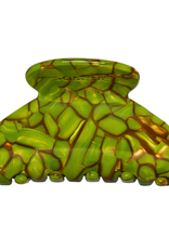 Sasstie Sasstie, Mony, turtle