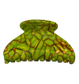 Sasstie Sasstie, Mony, turtle