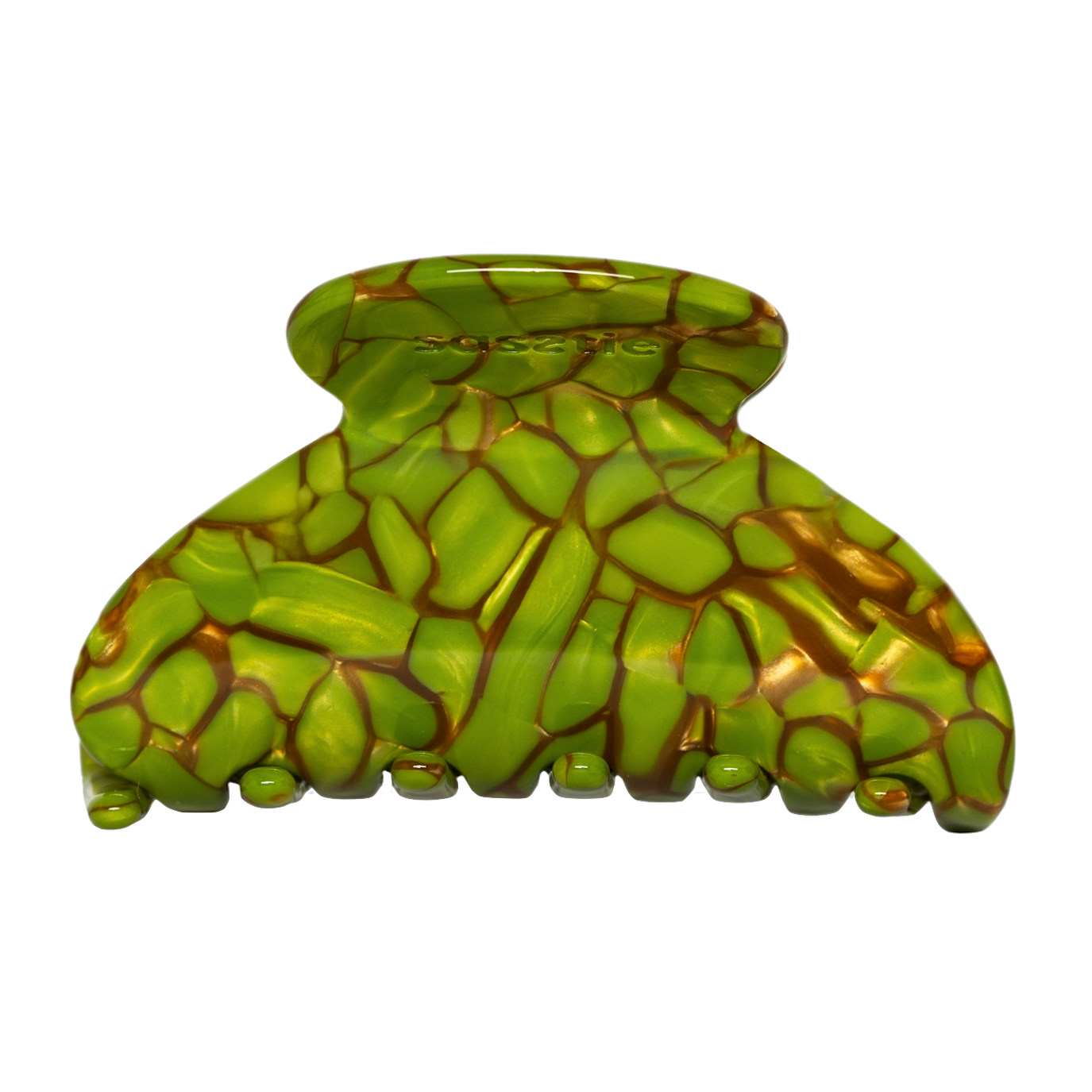 Sasstie Sasstie, Mony, turtle