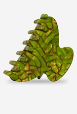 Sasstie Sasstie, Mony, turtle