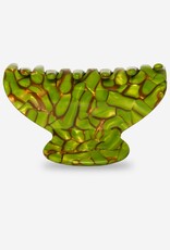 Sasstie Sasstie, Mony, turtle