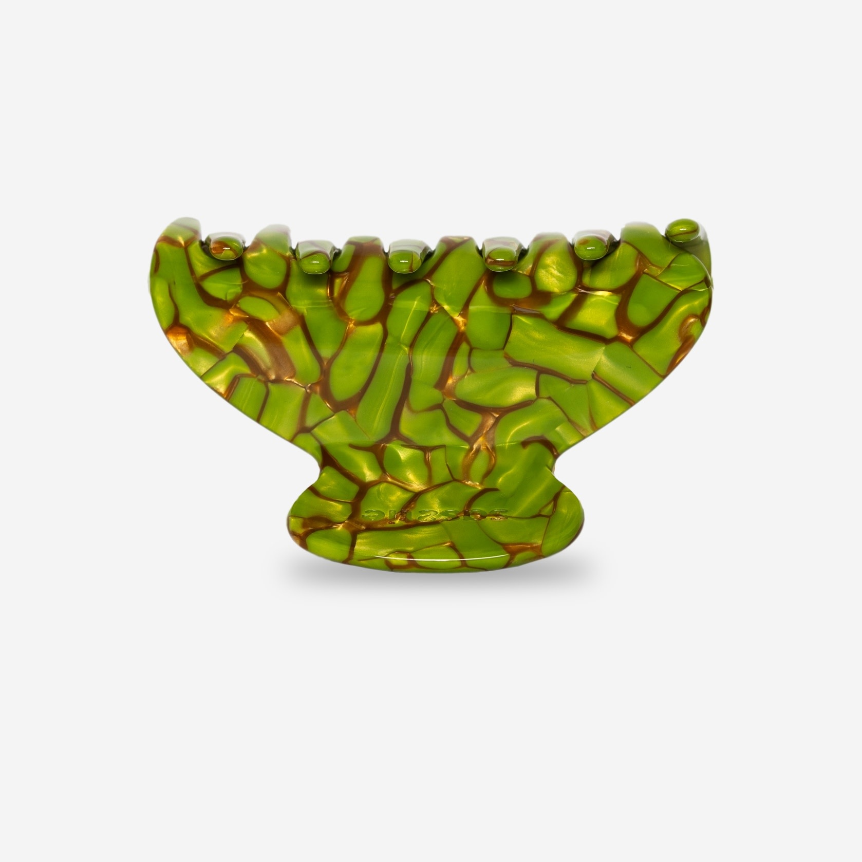 Sasstie Sasstie, Mony, turtle